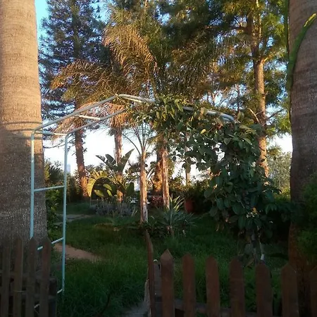 Mersinia Αγία Νάπα